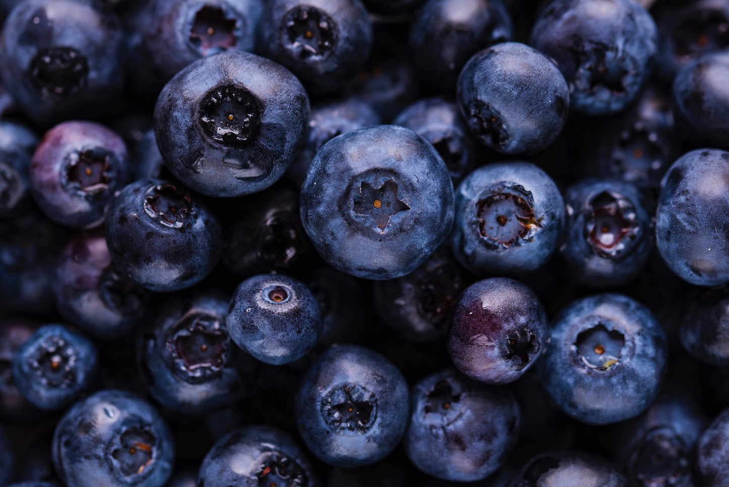 Superfood Profiles: Blueberries